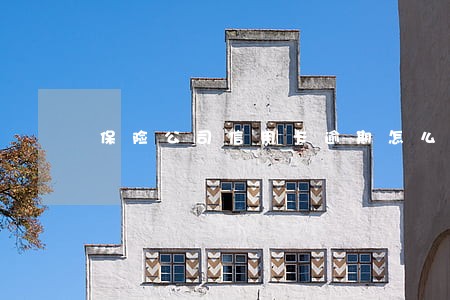 保险公司信用卡逾期怎么处理