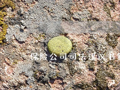 保险公司司法建议书复函