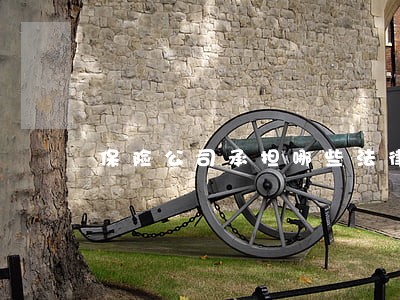 保险公司承担哪些法律责任 保险公司承担哪些法律责任