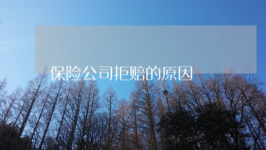 保险公司拒赔的原因