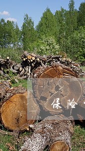 保险公司有没有律师进行答辩 保险公司有没有律师进行答辩