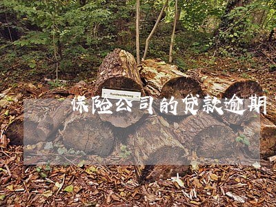 保险公司的贷款逾期了 保险公司的贷款逾期了