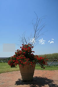 保险公司诉讼主体的法律规定 保险公司诉讼主体的法律规定