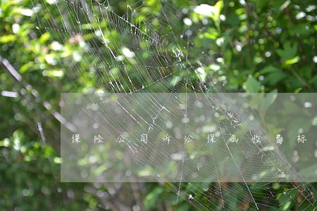 保险公司诉讼保函收费标准 保险公司诉讼保函收费标准