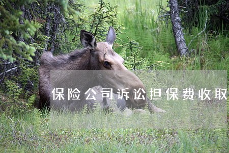保险公司诉讼担保费收取标准 保险公司诉讼担保费收取标准
