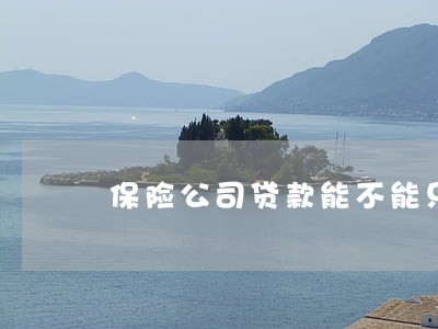 保险公司贷款能不能只还本金 保险公司贷款能不能只还本金
