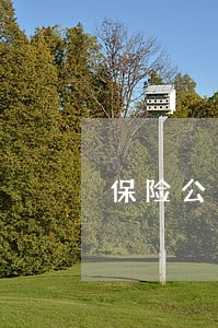 保险公司贷款逾期了 保险公司贷款逾期了