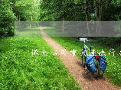 保险公司重大违法行为处罚