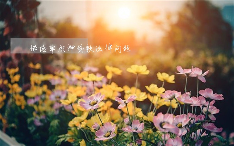 保险单质押贷款法律问题 保险单质押贷款法律问题