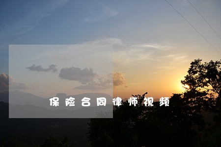 保险合同律师视频 保险合同律师视频