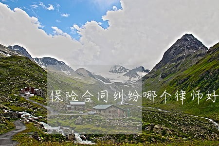 保险合同纠纷哪个律师好 保险合同纠纷哪个律师好