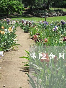 保险合同纠纷时效多久 保险合同纠纷时效多久