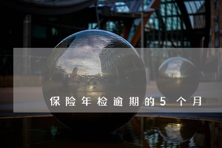 保险年检逾期的5个月