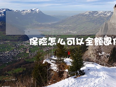 保险怎么可以全额退保 保险怎么可以全额退保