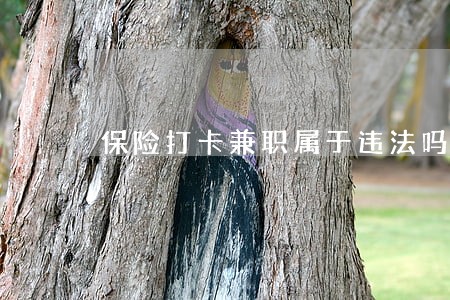 保险打卡兼职属于违法吗