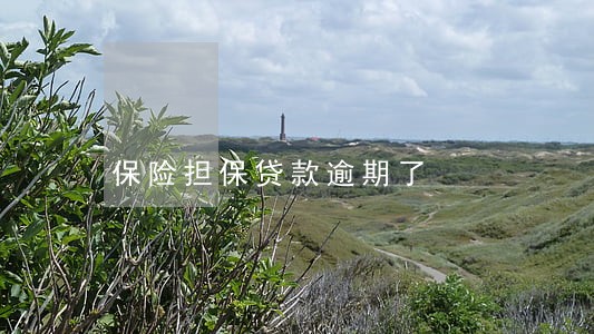 保险担保贷款逾期了
