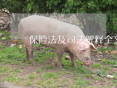 保险法及司法解释全文 保险法及司法解释全文