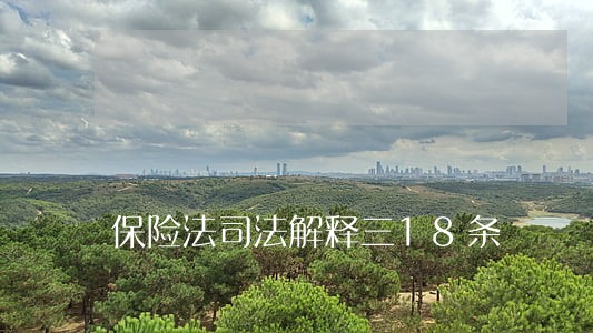 保险法司法解释三18条