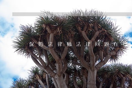 保险法律师法律问题在线解答 保险法律师法律问题在线解答