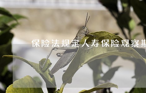 保险法规定人寿保险观察期是多久 保险法规定人寿保险观察期是多久