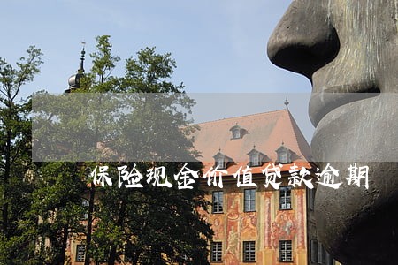 保险现金价值贷款逾期 保险现金价值贷款逾期