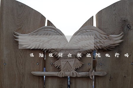 保险理财会被法院执行吗 保险理财会被法院执行吗