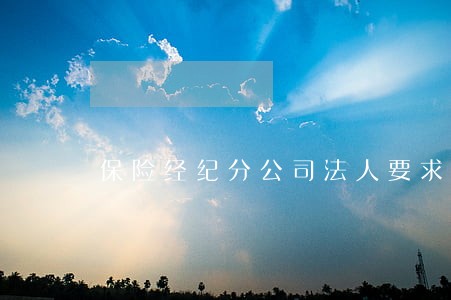 保险经纪分公司法人要求