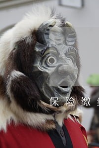 保险缴纳可以逾期60天 保险缴纳可以逾期60天