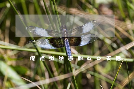 保险缴纳逾期60天后