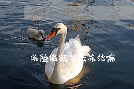 保险能被司法冻结嘛 保险能被司法冻结嘛