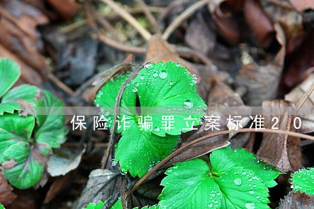 保险诈骗罪立案标准2022 保险诈骗罪立案标准2022