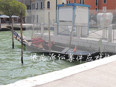 保险诉讼案件应对技巧