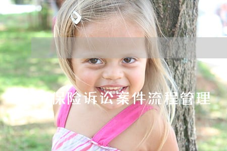保险诉讼案件流程管理