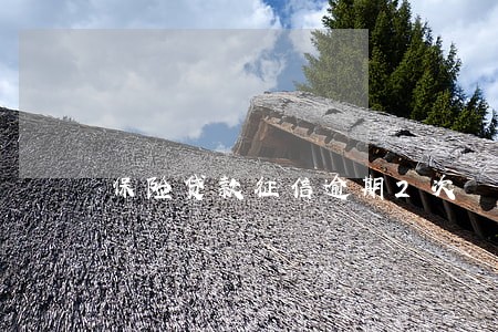 保险贷款征信逾期2次 保险贷款征信逾期2次