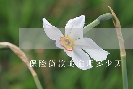 保险贷款能逾期多少天 保险贷款能逾期多少天