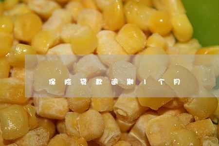保险贷款逾期1个月