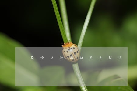 保险贷款逾期影响征信 保险贷款逾期影响征信