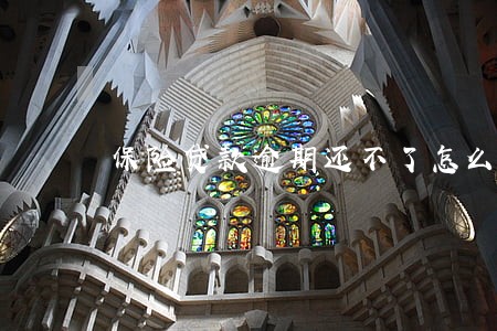 保险贷款逾期还不了怎么办 保险贷款逾期还不了怎么办