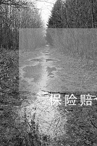 保险赔偿辩护律师排名 保险赔偿辩护律师排名