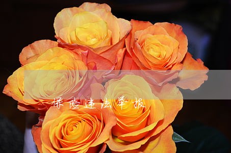 保险违法举报 保险违法举报