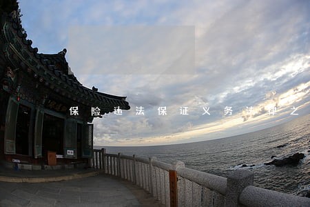 保险违法保证义务法律之一 保险违法保证义务法律之一