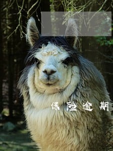 保险逾期1年怎么退保 保险逾期1年怎么退保