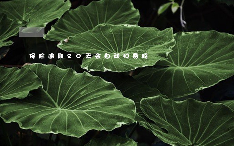 保险逾期20天会自动扣费吗 保险逾期20天会自动扣费吗
