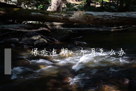 保险逾期4个月怎么办 保险逾期4个月怎么办