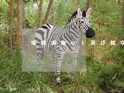 保险逾期61天还能交吗 保险逾期61天还能交吗