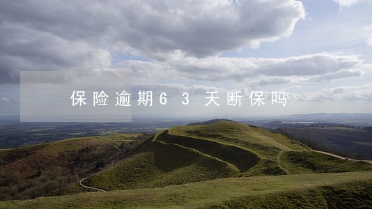 保险逾期63天断保吗 保险逾期63天断保吗