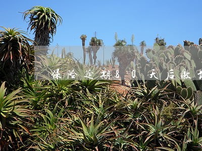 保险逾期80天后缴费何时生效 保险逾期80天后缴费何时生效