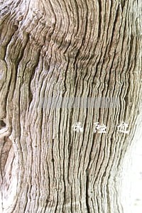 保险逾期了3天会怎样 保险逾期了3天会怎样