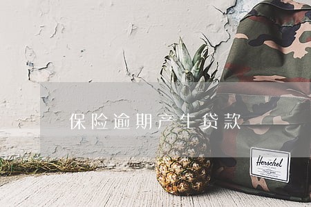 保险逾期产生贷款 保险逾期产生贷款