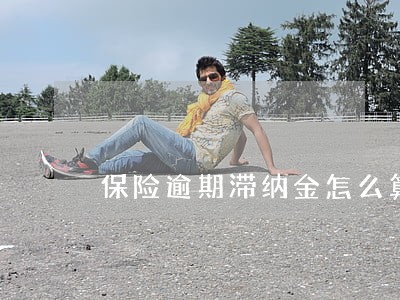 保险逾期滞纳金怎么算6 保险逾期滞纳金怎么算6